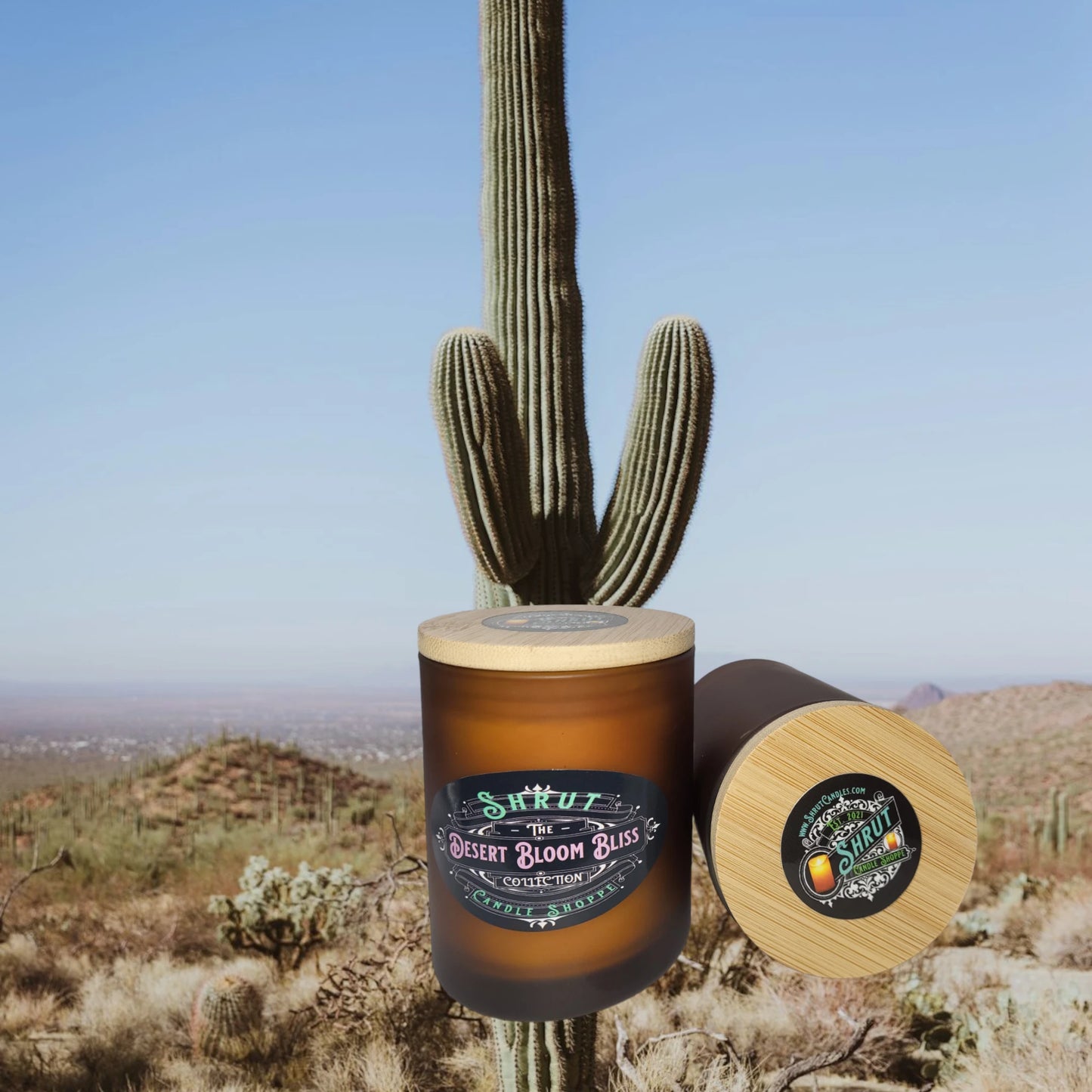 Desert Bloom Bliss: Sunlit Cactus & Vanilla Whispers