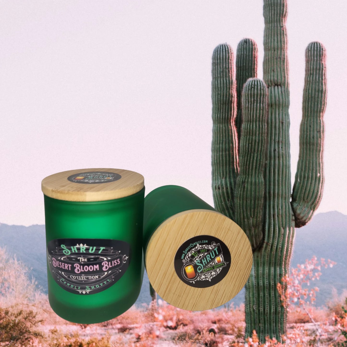 Desert Bloom Bliss: Sunlit Cactus & Vanilla Whispers